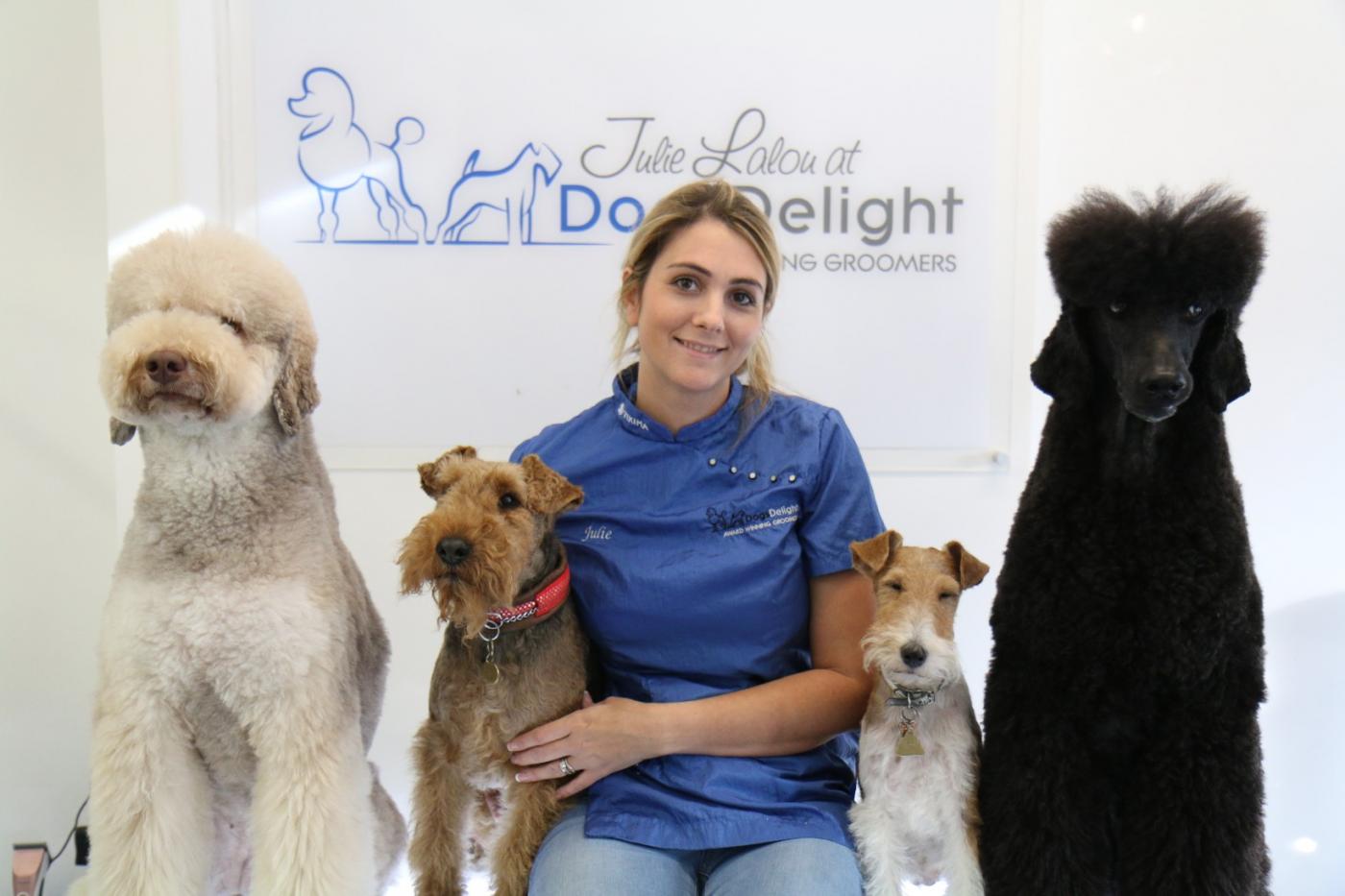 Dog Grooming Courses West London Dogs Delight